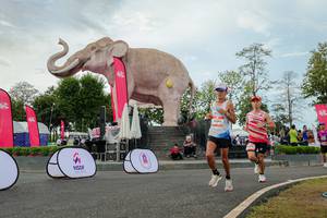 BIB: 
                            <button type="button" onclick="openModal(26528731)" class="btn btn-primary btn-sm float-right btn-popup" data-toggle="modal" data-target=".modal-high-quality">
                        <i class="fas fa-shopping-cart"></i> Add to Cart
                    </button>
                                            <button type="button" onclick="isThisMe(26528731, true)" class="btn btn-success btn-sm float-right btn-popup btn-isme hidden" data-toggle="tooltip" data-placement="bottom" title="นี่คือรูปของคุณใช่ไหม คลิกที่นี่เพื่อเอาเข้าอัลบั้ม">
                        <i class="fas fa-plus"></i> Add to album
                    </button>
                    <button type="button" onclick="isThisMe(26528731, false)" class="btn btn-warning btn-sm float-right btn-popup btn-isnotme hidden">
                        <i class="fas fa-ban"></i> Remove from album
                    </button>